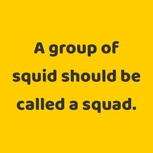 Meet your Posher, Shalom